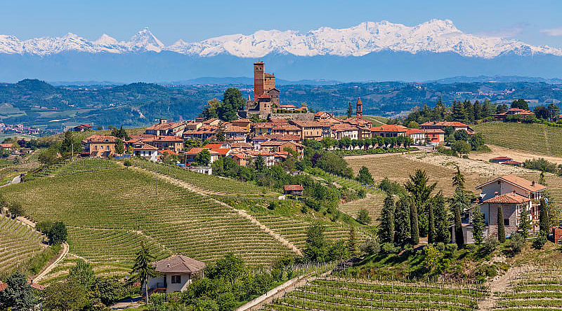 Piedmont, Italy Vineyards in Piedmont with snow capped mountains in the background