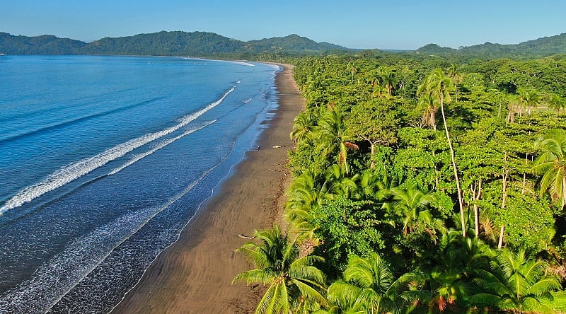 Living rainforests reach the coastline on both sides of Costa Rica Living rainforests reach the coastline on both sides of Costa Rica