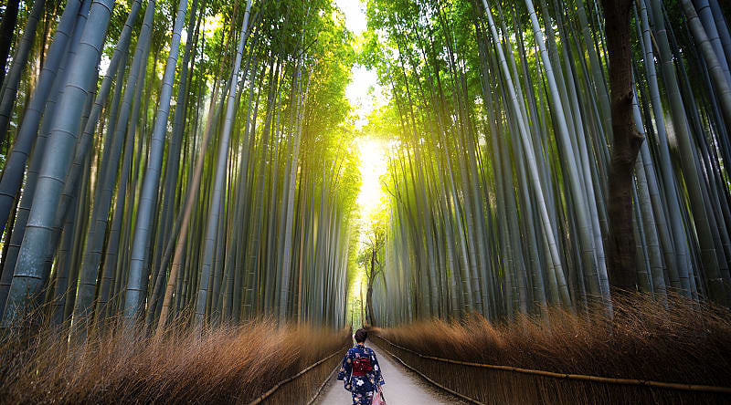 Arashiyama Bamboo Forest in Kyoto, Japan Arashiyama Bamboo Forest in Kyoto, Japan