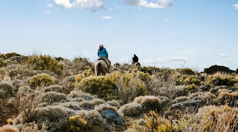 Horseback riding in Patagonia