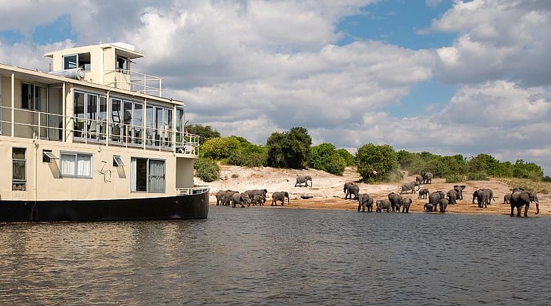 Cruising the Chobe river in Botswana aboard the Chobe Princesses by Mantis