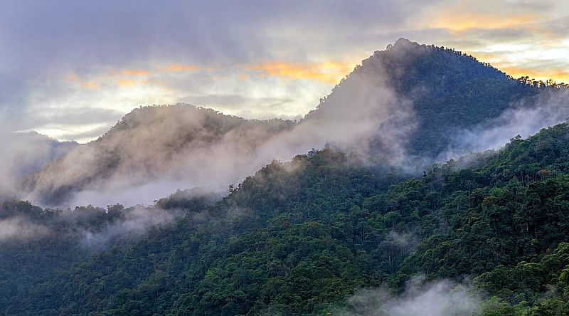 Chocó Cloud Forest, Ecuador