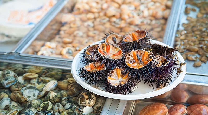 Traditional assortment of the fish market of the island town, Sicily