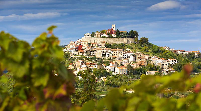 Vineyards surrounding hilltop village of Motovun, Croatia