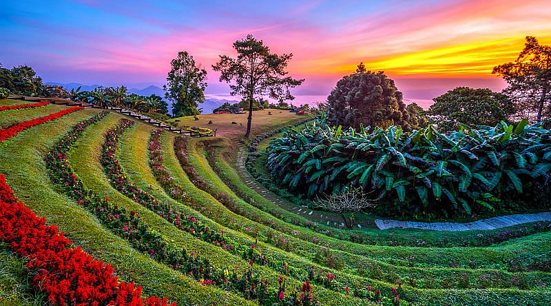 Colorful sunrise at Huai Nam Dang National Park with rows of flowers and mountains in the background, Thailand