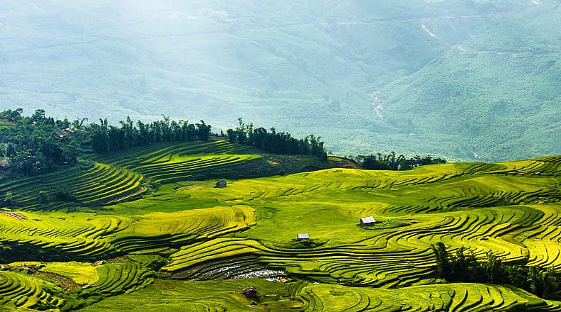 Rice fields terraces in Sapa, Vietnam.