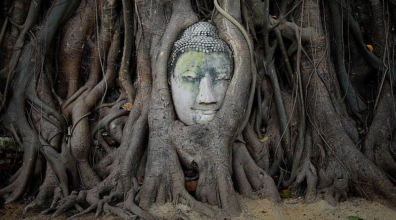 Head of Buddha statue in the tree roots at Wat Mahathat Temple, Ayutthaya, Thailand