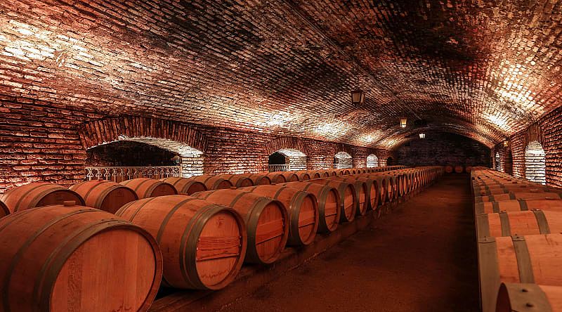 Barrels with aged wine in the cellar of a wine farm, Chile