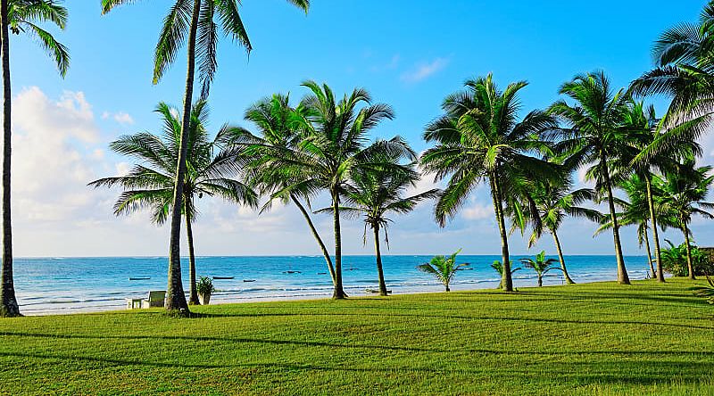 Tropical coast with palm trees and beaches in Diana, Kenya