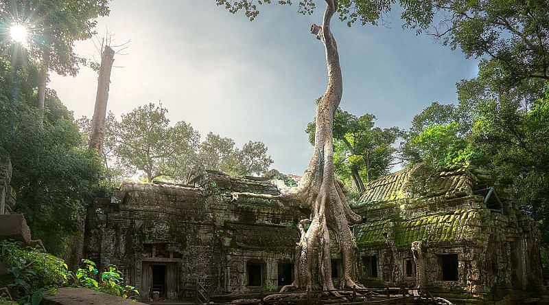 Sunrise over Ta Prohm at Angkor Wat in Siem Reap, Cambodia