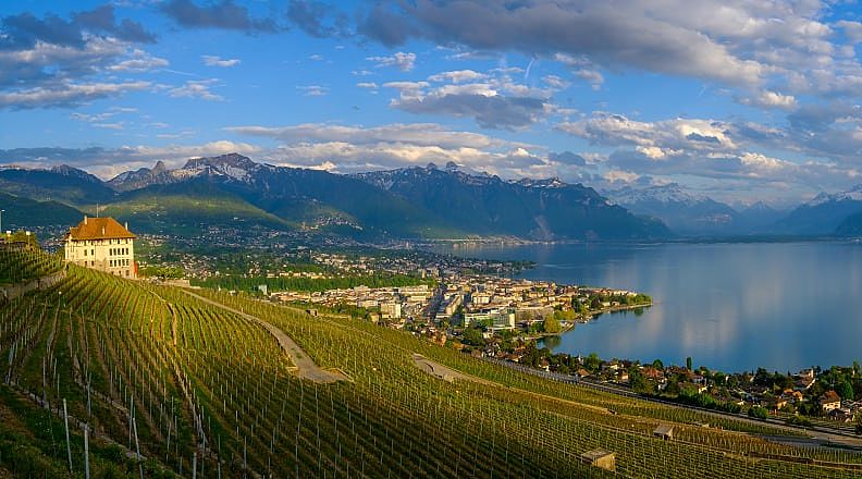 Vineyards near Lausanne on Lake Geneva, Switzerland