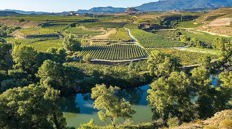 View of the vineyards and the village of San Vicente de la Sonsierra, Rioja, SpainView of the vineyards and the village of San-Vicente-de-la-Sonsierra, Rioja, Spain