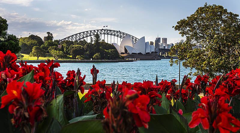 Sydney Harbor and Opera House from the Botanic Gardens in Sydney, Australia.