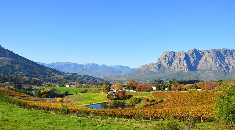 Winelands in South Africa