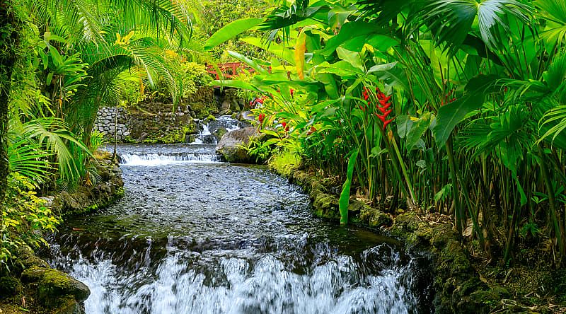 Natural thermal pool in Arenal, Costa Rica Natural thermal pool in Arenal, Costa Rica