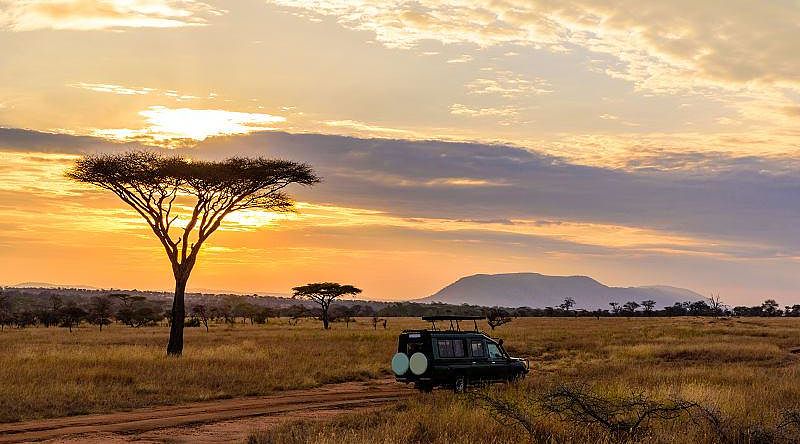 Kruger National Park at sunset in South Africa Kruger National Park at sunset in South Africa