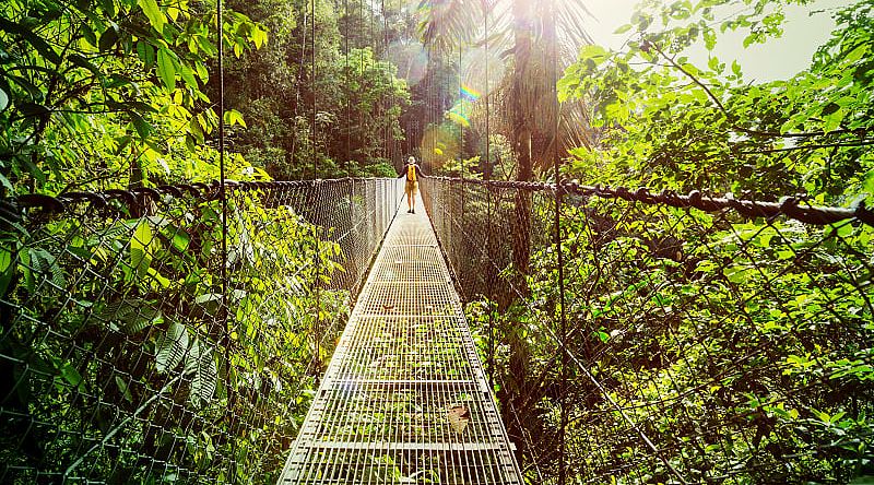 Suspension bridges, Monteverde, Costa Rica
