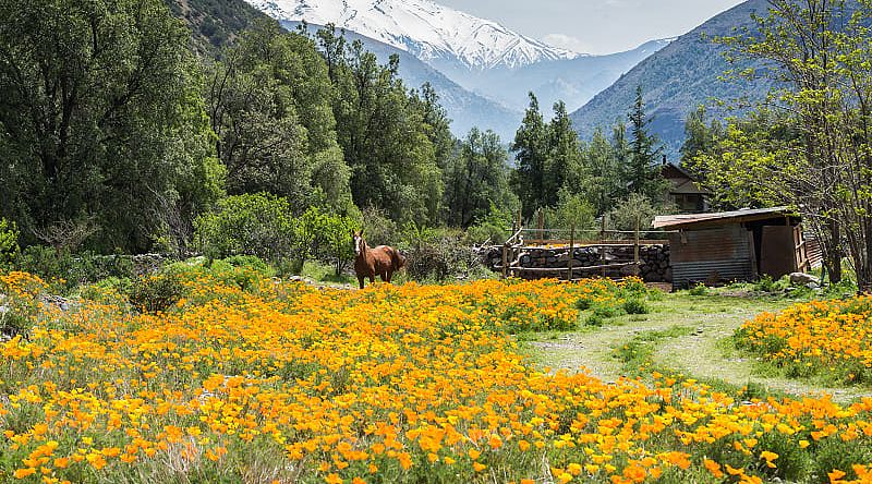 Cajon del Maipo Valley in Chile