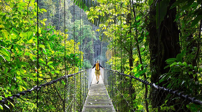 Tourist hiking across hanging bridge in Costa Rica Tourist hiking across hanging bridge in Costa Rica