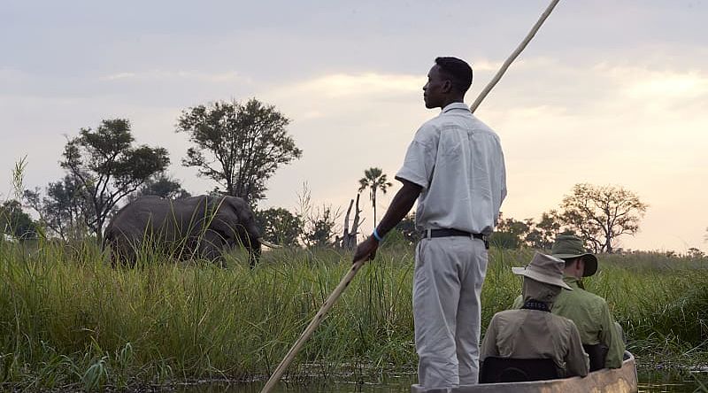 Mokoro boat safari with elephant on riverbank at Sanctuary Baines Camp in Botswana