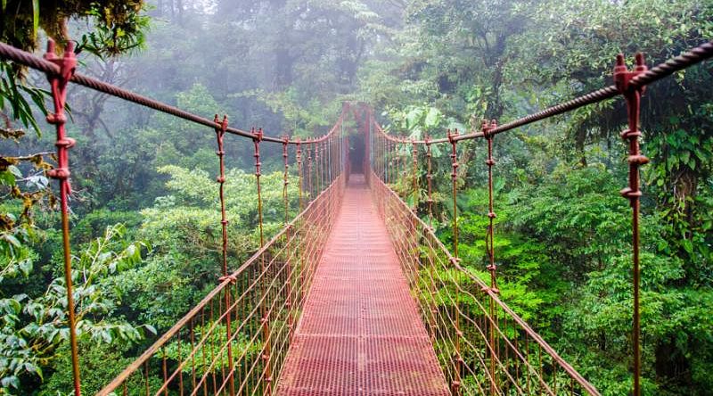 Famous hanging bridge in Monteverde, Costa Rica.