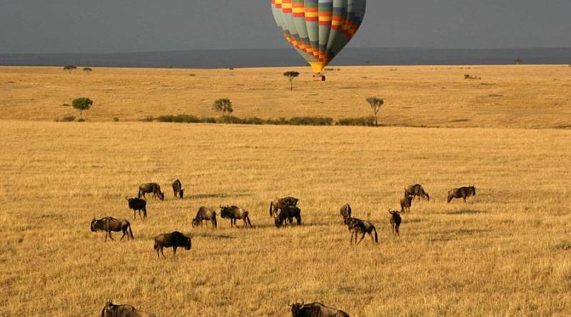 Hot air ballon over Masai Mara National Park Hot air ballon over Masai Mara National Park