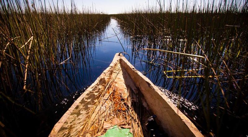 View of the Okavango Delta from a mokoro canoe, Botswana