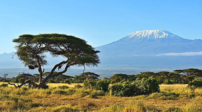 View of Mount of Kilimanjaro View of Mount of Kilimanjaro