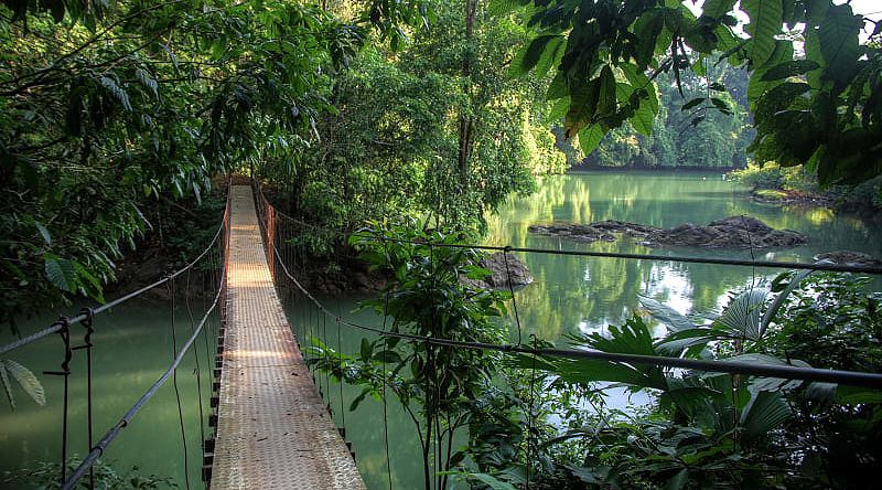 Travel through the trees with the whole family on the Arenal's suspension bridges