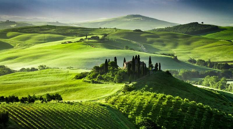 Lush, green rolling hills in Siena, Italy Lush, green rolling hills in Siena, Italy