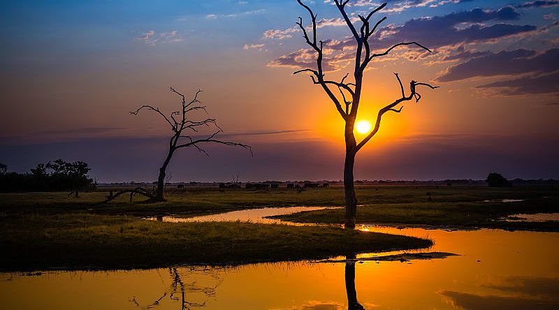 Sun setting on Botswana, Africa Sun setting on Botswana, Africa
