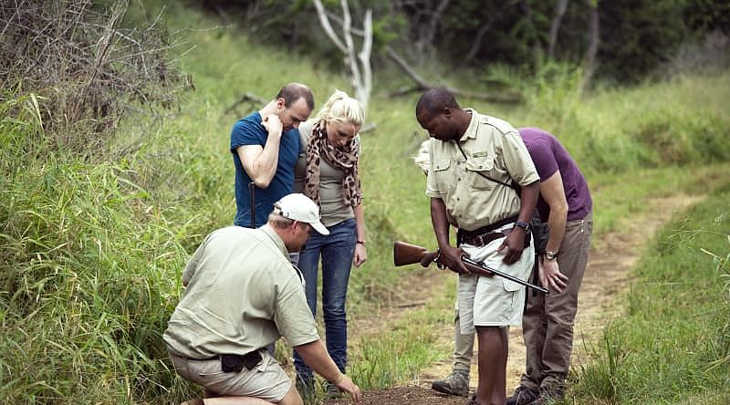 A guided walking safari in the Okavango Delta A guided walking safari in the Okavango Delta