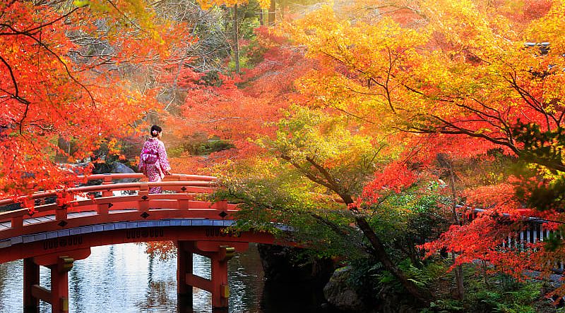 Kyoto, Japan during autumn. Kyoto, Japan during autumn.