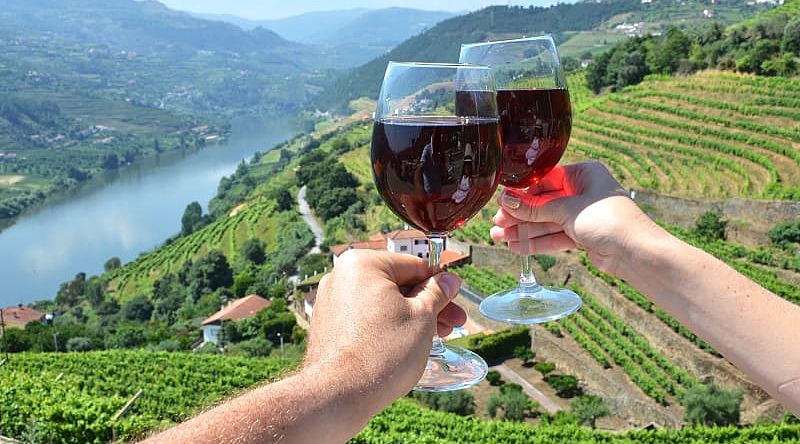 Vineyards in Douro Valley, Portugal