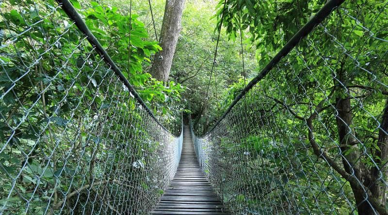 Hanging bridge in the Guatemalan forest Hanging bridge in the Guatemalan forest