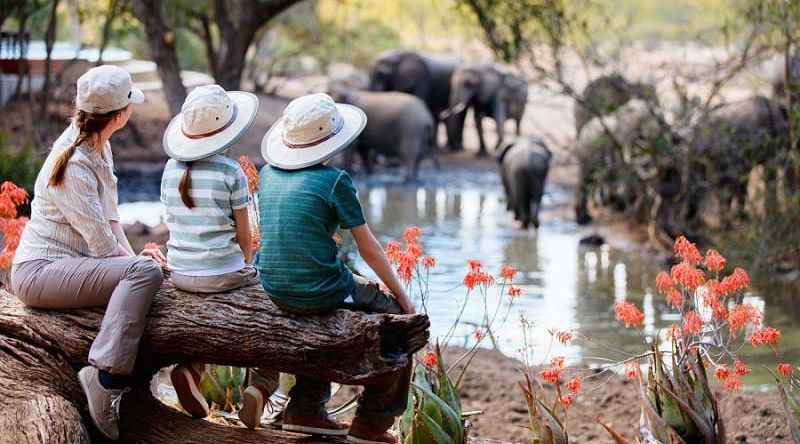Mother and children sitting on a log watching elephants drinking from a watering hole in South Africa Game Reserve Mother and children sitting on a log watching elephants drinking from a watering hole in South Africa Game Reserve