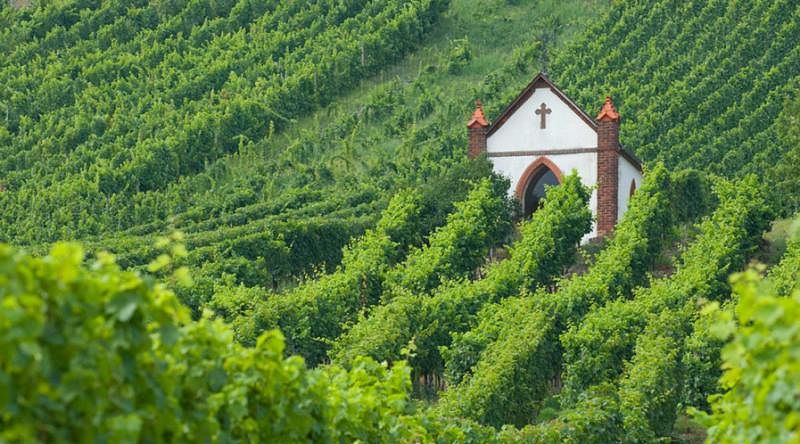 Church in the middle of vineyards in Barossa Valley, Australia.