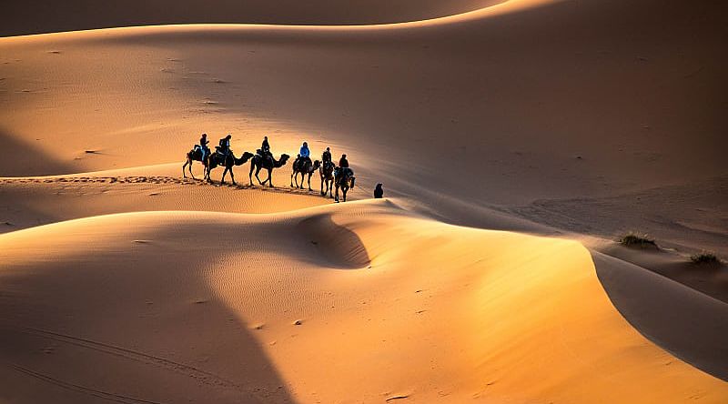 A caravan walking through the golden dunes of the Sahara desert