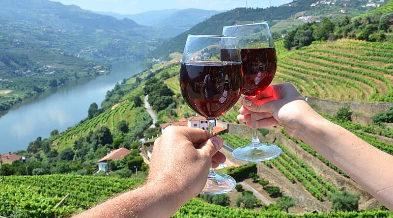 Vineyards and wine in Douro Valley, Portugal