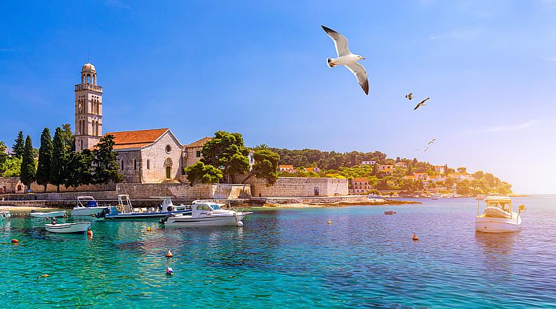 Seagull flying over the harbor with fishing boats in Hvar, Croatia