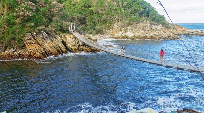 Bridge in Tsitsikamma National Park, South Africa.