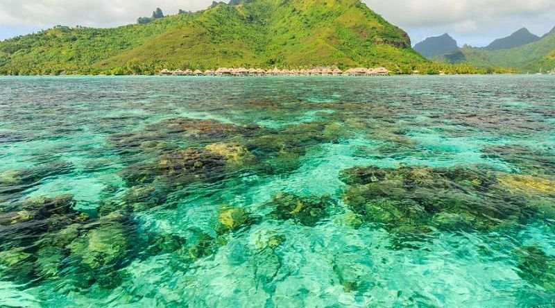 Tropical island in the French Polynesia Tropical island in the French Polynesia