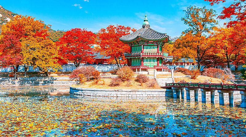 Autumn at Gyeongbokgung Palace in South Korea, Autumn at Gyeongbokgung Palace in South Korea,