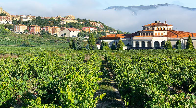 Rioja Alavesa is a world-renowned wine-growing region in Spain, where everyone can enjoy exactly the wine they like. Rioja Alavesa is a world-renowned wine-growing region in Spain, where everyone can enjoy exactly the wine they like.