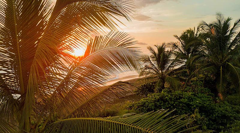 Enjoy comfort and luxury as you watch the pristine jungle connect to the sea, Costa Rica Enjoy comfort and luxury as you watch the pristine jungle connect to the sea, Costa Rica