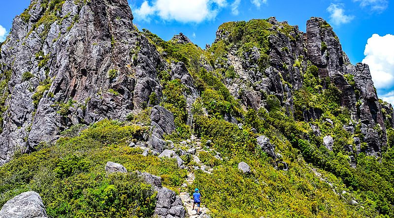 Hike in The Pinnacles in Coromandel, New Zealand Hike in The Pinnacles in Coromandel, New Zealand