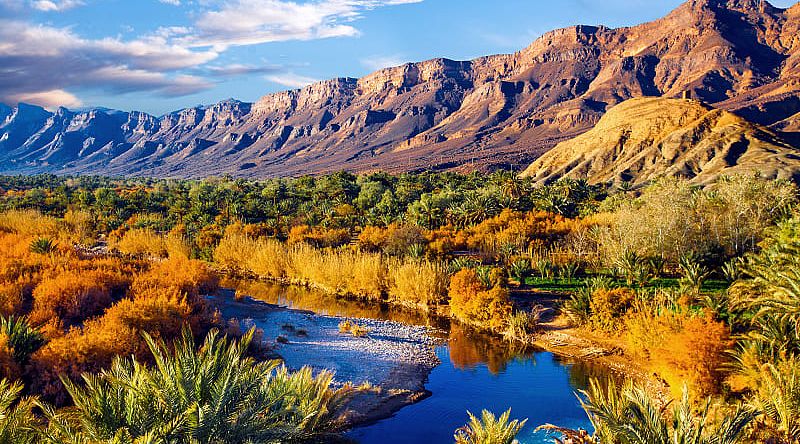 Date palms and blue river in Morocco