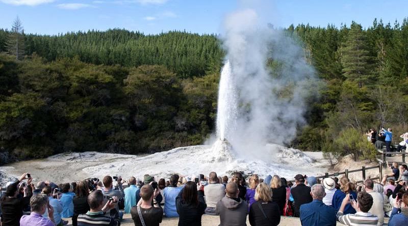 Tourist watching erupting Lady Knox geyser in New Zealand Tourist watching erupting Lady Knox geyser in New Zealand