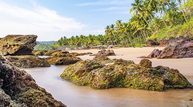 Relaxing beach flanked by palm trees and boulders at sunset in Varkala, Kerala, India.