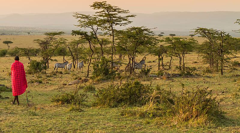 Immerse yourself in the beauty of the grassy shroud of the Masai Mara Game Reserve, Kenya